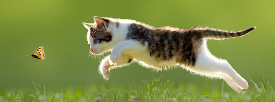 下一代主题插件 MaterialX